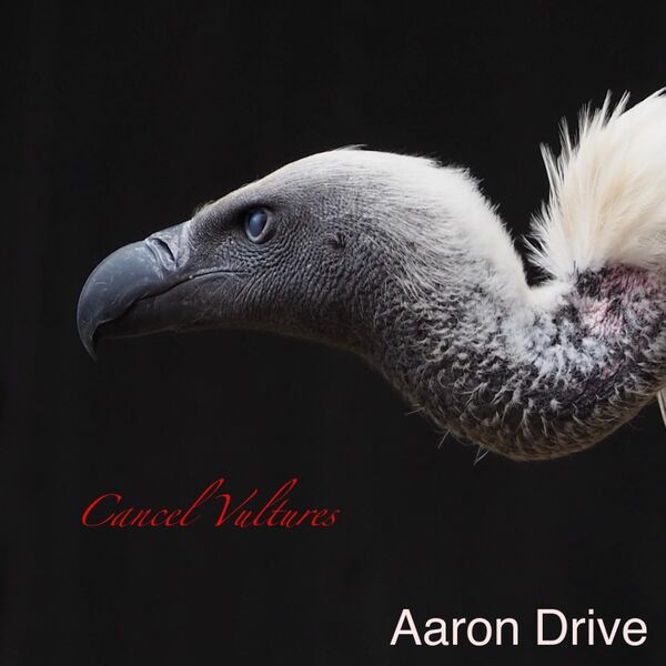 Cover art for Cancel Vultures