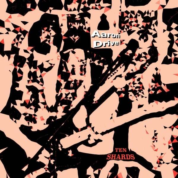 Cover art for Ten Shards